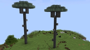 17 Kapi Trees.jpg