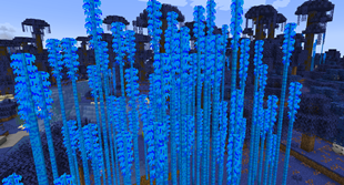 Bamboo + Leaves
