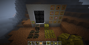 Items