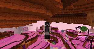 Showcase 1