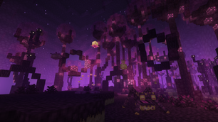 Poise Forest