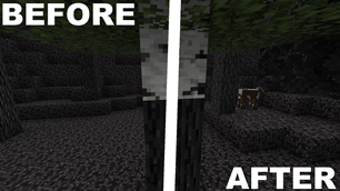 Before / After