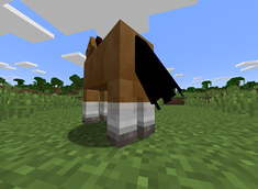 Horse 1