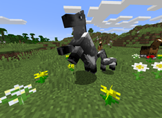 Horse 2