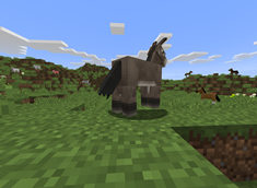 Donkey