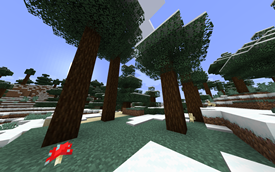 Tree Textures