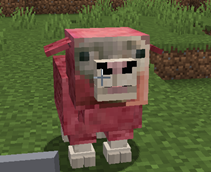 mouton rose 