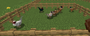 image (3).png