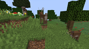 image.webp