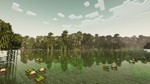 Bayou
