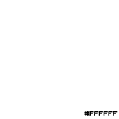 The Perfect White