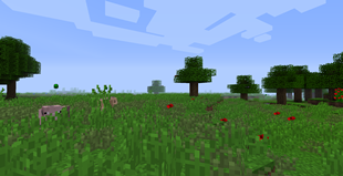 Nicer biomes