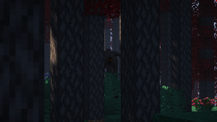 the moder in a zelkova forest from oh the biomes you'll go