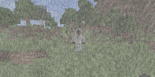 303.png