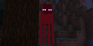 crazy_enderman.png
