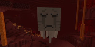 crazy_ghast.png