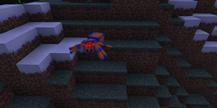 crazy_spider.png