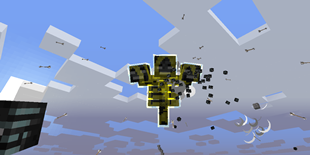 crazy_wither.png