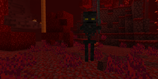 crazy_witherskeleton.png