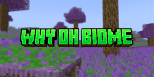 whyohbiometitleintorothingy.png