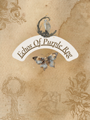 Echos of Purple Rpg