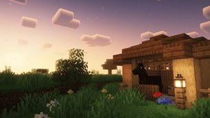 beautiful horse at sunset.png