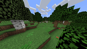 Forest - Leaf Litter