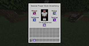 Special Power Book Inventory.png