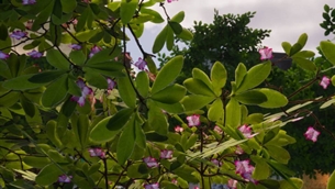 12-1030x580.jpg