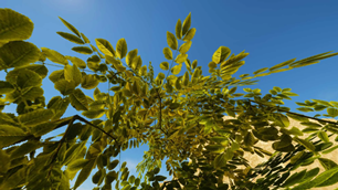 5-1030x579.webp