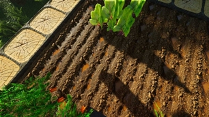 1-1030x579.jpg