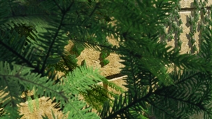 9-1030x580.jpg