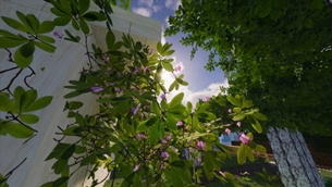 11-1030x580.jpg