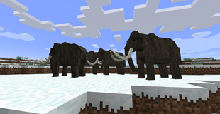 Mammoth