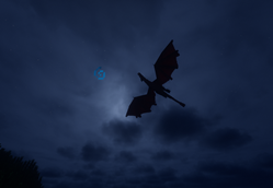 Night time Flight