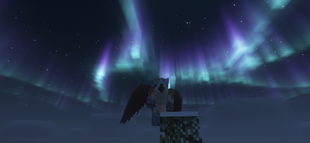 One of our players enjoying the northern lights