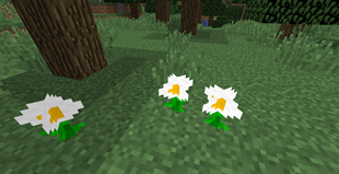 2025-04-12_14.20.58.png