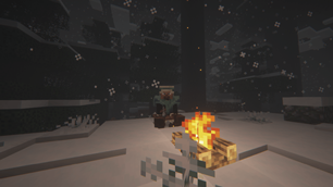 particles