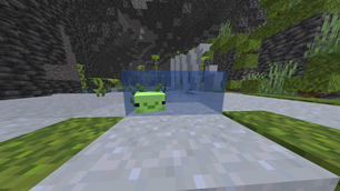 green axolotl