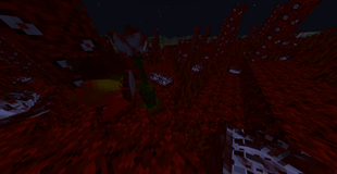 Infection