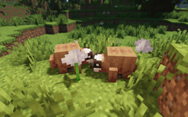 Little Creatures (for now)