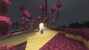 More end biomes!