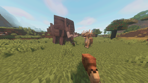 More Animal!