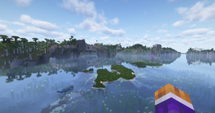 image.webp