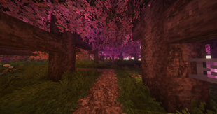 Cherry Forest - Extended Lights