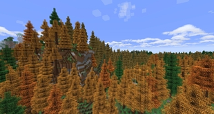 The Environment