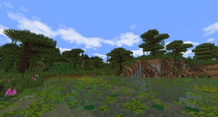 The Environment