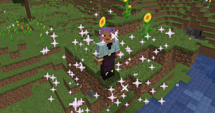 Cultivation
