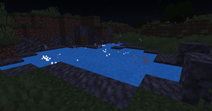 Liquid Qi Pool (Night)