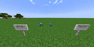 Naturalist and Alex's Mobs together in perfect harmony